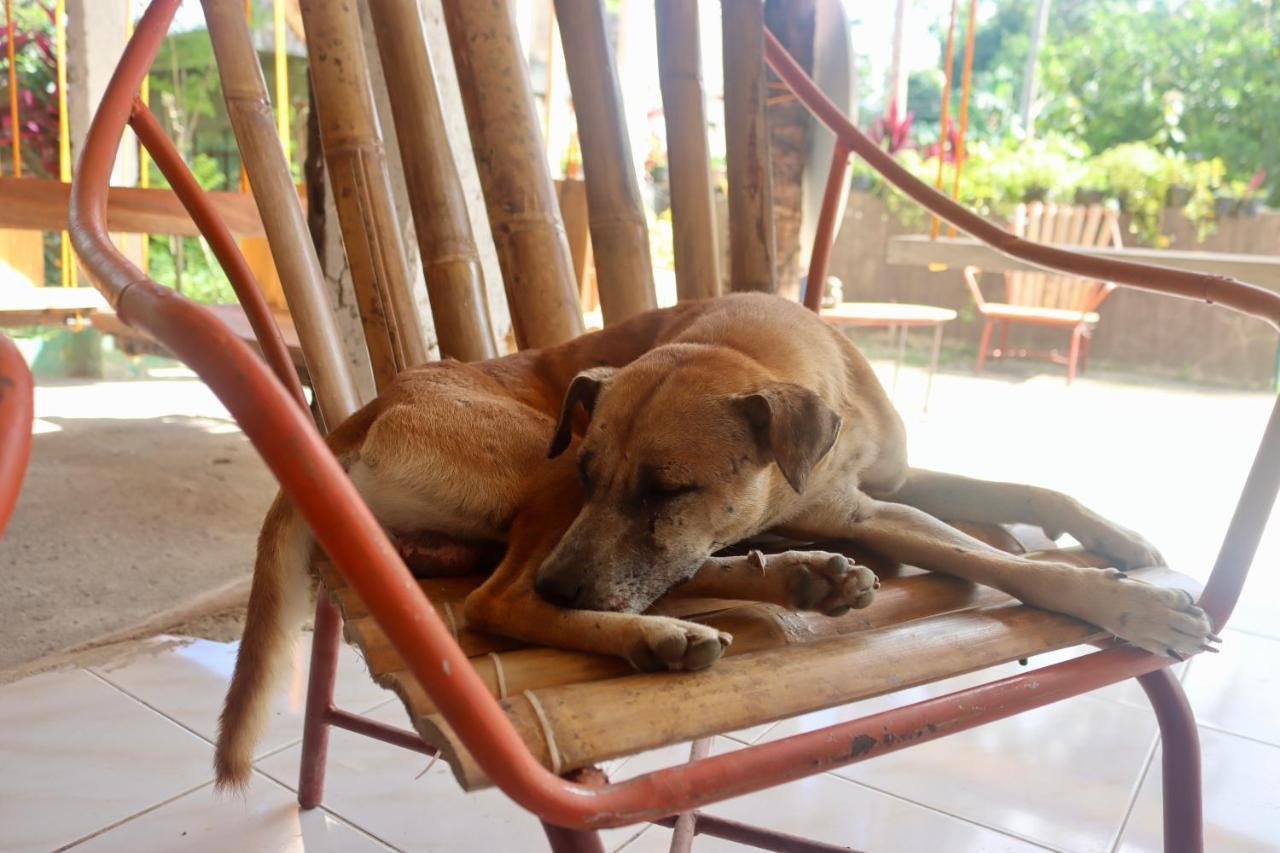 Bohol Hammock Hostel Batuan Esterno foto