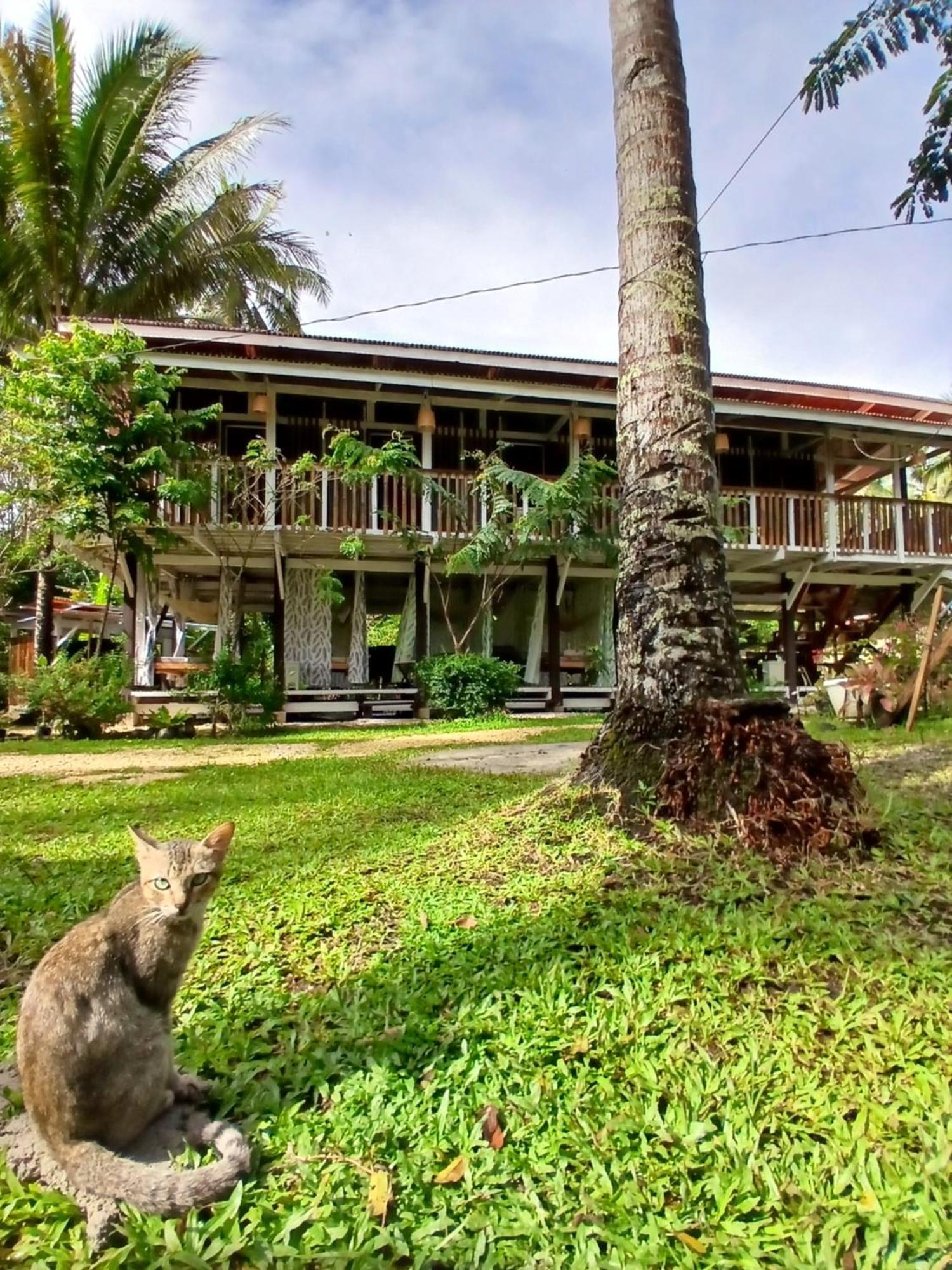 Bohol Hammock Hostel Batuan Esterno foto